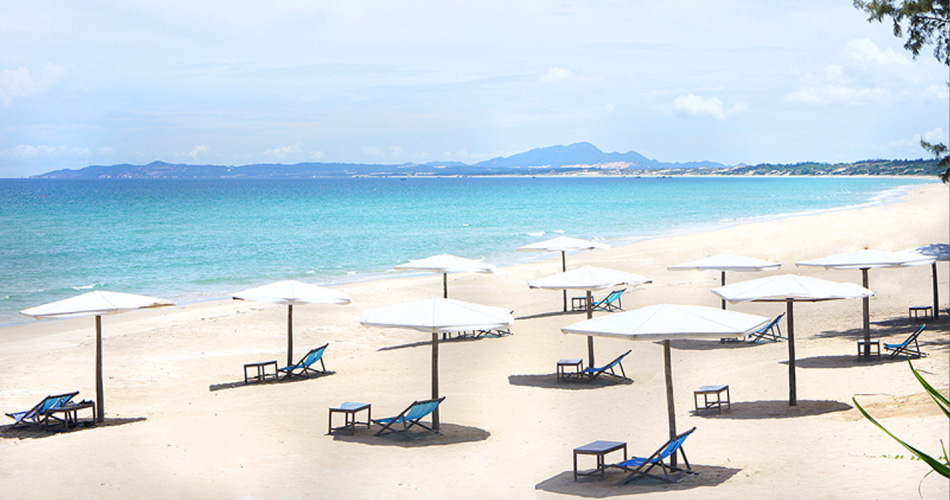 DỰ ÁN GOLDEN BAY